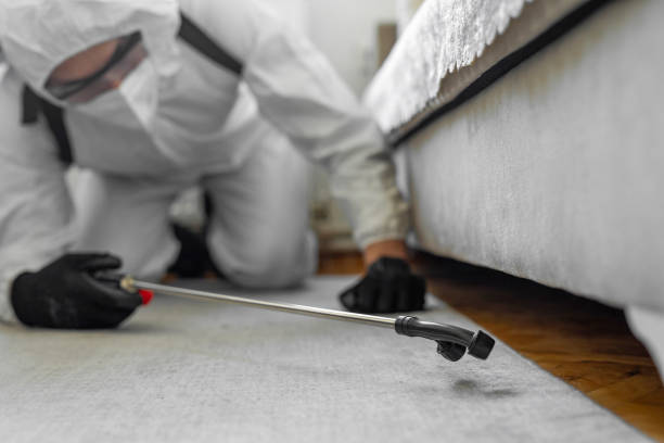 Professional Termite Control technician working in New Roads, LA