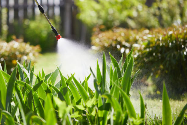 24/7 Emergency Termite Control experts in New Roads, LA