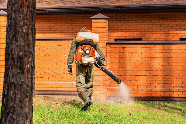 Top rated local Termite Control specialists in New Roads, LA